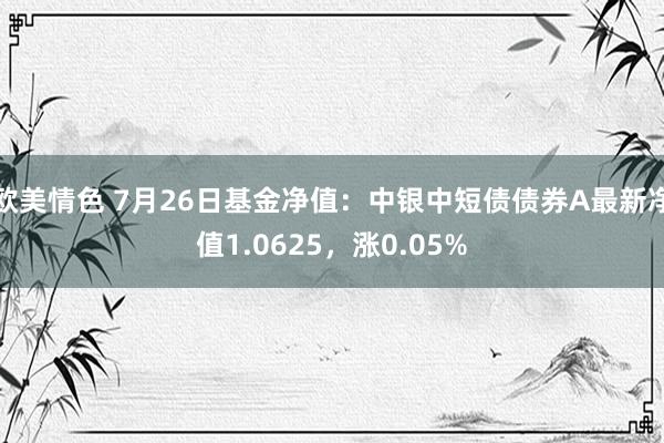 欧美情色 7月26日基金净值：中银中短债债券A最新净值1.0625，涨0.05%