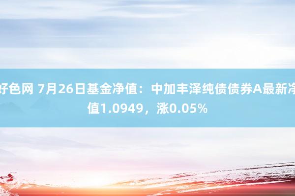 好色网 7月26日基金净值：中加丰泽纯债债券A最新净值1.0949，涨0.05%