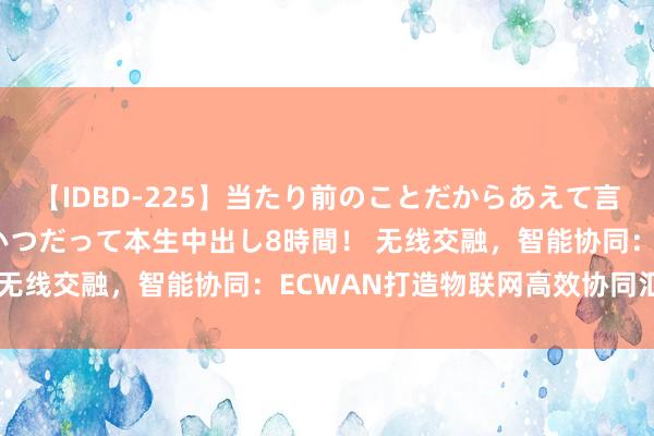 【IDBD-225】当たり前のことだからあえて言わなかったけど…IPはいつだって本生中出し8時間！ 无线交融，智能协同：ECWAN打造物联网高效协同汇集