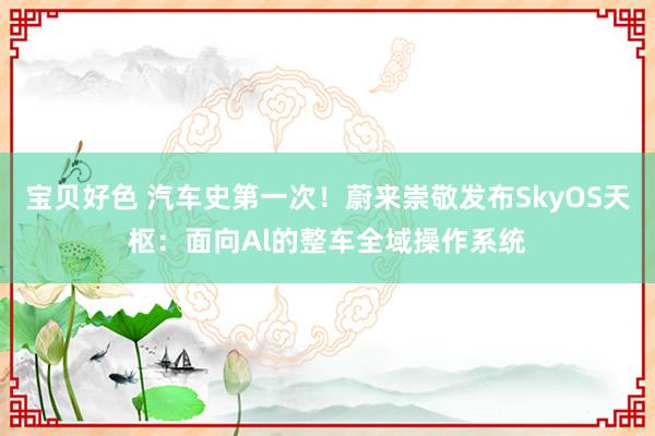 宝贝好色 汽车史第一次！蔚来崇敬发布SkyOS天枢：面向Al的整车全域操作系统