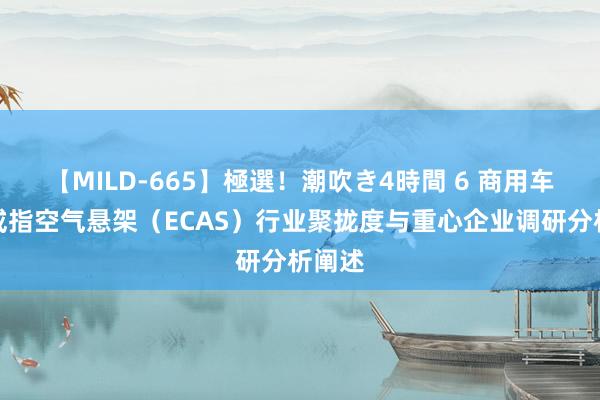 【MILD-665】極選！潮吹き4時間 6 商用车电子戒指空气悬架（ECAS）行业聚拢度与重心企业调研分析阐述