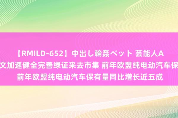 【RMILD-652】中出し輪姦ペット 芸能人AYA 双碳晚报|国办发文加速健全完善绿证来去市集 前年欧盟纯电动汽车保有量同比增长近五成