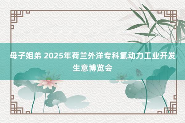 母子姐弟 2025年荷兰外洋专科氢动力工业开发生意博览会