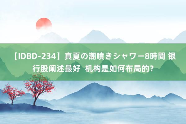 【IDBD-234】真夏の潮噴きシャワー8時間 银行股阐述最好  机构是如何布局的？