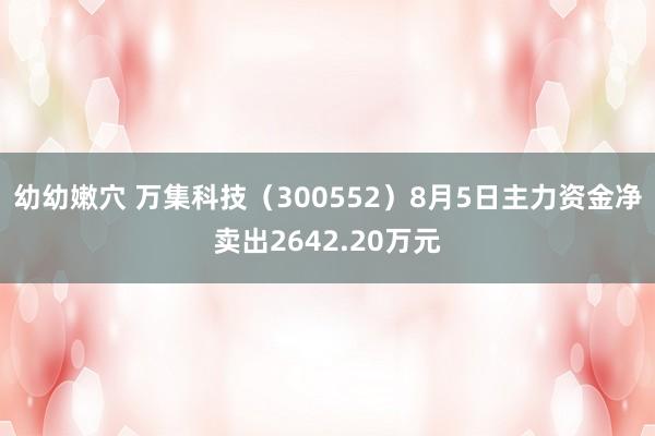 幼幼嫩穴 万集科技（300552）8月5日主力资金净卖出2642.20万元