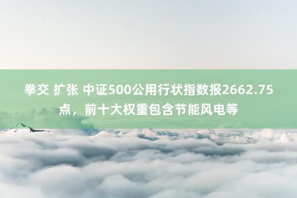 拳交 扩张 中证500公用行状指数报2662.75点，前十大权重包含节能风电等