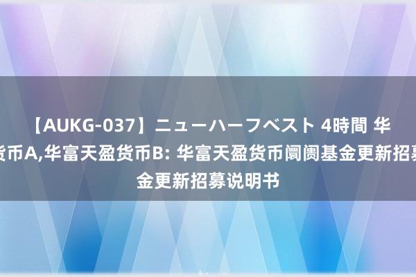 【AUKG-037】ニューハーフベスト 4時間 华富天盈货币A，华富天盈货币B: 华富天盈货币阛阓基金更新招募说明书