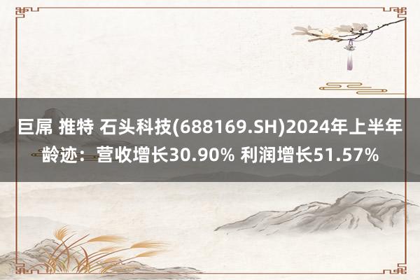 巨屌 推特 石头科技(688169.SH)2024年上半年龄迹：营收增长30.90% 利润增长51.57%