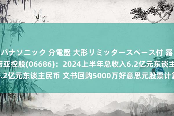 パナソニック 分電盤 大形リミッタースペース付 露出・半埋込両用形 诺亚控股(06686)：2024上半年总收入6.2亿元东谈主民币 文书回购5000万好意思元股票计算栽植鼓吹价值