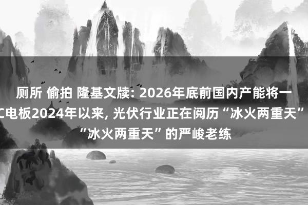 厕所 偷拍 隆基文牍: 2026年底前国内产能将一起切换为BC电板2024年以来， 光伏行业正在阅历“冰火两重天”的严峻老练