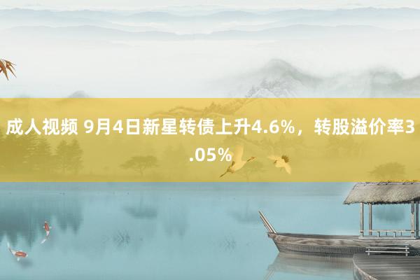 成人视频 9月4日新星转债上升4.6%，转股溢价率3.05%