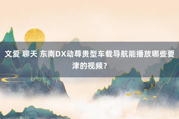 文爱 聊天 东南DX动尊贵型车载导航能播放哪些要津的视频？