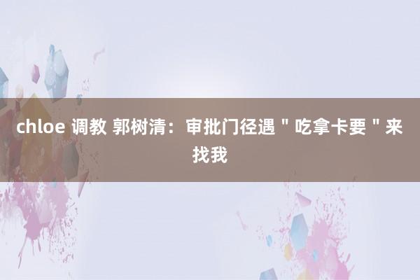 chloe 调教 郭树清：审批门径遇＂吃拿卡要＂来找我